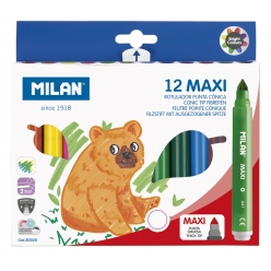 feutres maxi 12 pieces