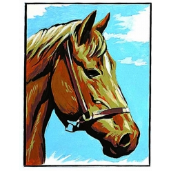 kit canevas blanc le cheval 20x25cm