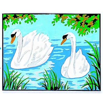 kit canevas les cygnes 20x25cm