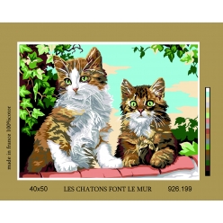 canevas antique les chatons font le mur 40x50cm