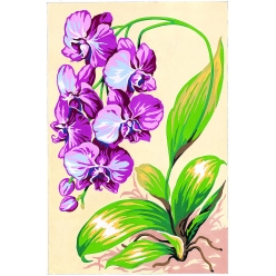 canevas antique orchidees 30x40cm