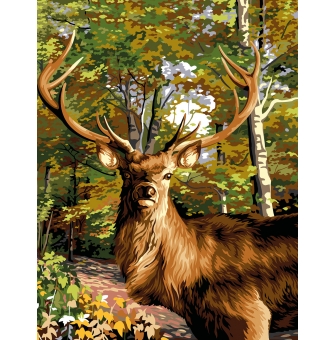 canevas margot le prince des bois 50x65 cm