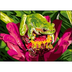 canevas antique grenouille 32x50cm