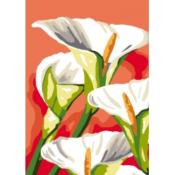 canevas antique arum 32x50 cm sans fils