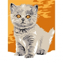 kit canevas enfant chaton fibie 20x25cm