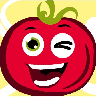 kit canevas soudan tomate 20x20cm