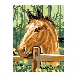 kit canevas poulain 25x30cm