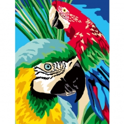 kit canevas perroquet 25x30cm