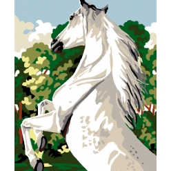 kit canevas cheval 25x30cm