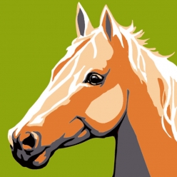 kit canevas soudan le cheval 20x20cm