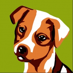 kit canevas soudan le chien 20x20cm