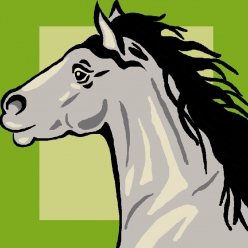 kit canevas soudan 25x25cm cheval