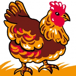 kit canevas soudan mere poule 25x25 cm
