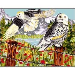 canevas antique au pays des chouettes 50x65cm
