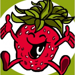 kit canevas soudan fraise 25x25cm