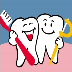 kit canevas soudan dents 20x20cm