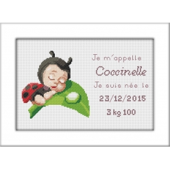 kit a broder point de croix naissance coccinelle