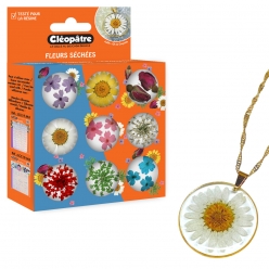 fleurs sechees pour resine d inclusion 9 varietes