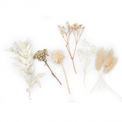 fleurs sechees coloris blanc 10 pieces