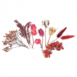 fleurs sechees coloris bordeaux 10 pieces