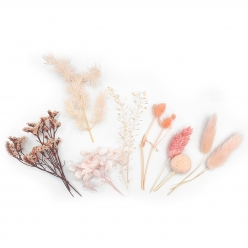 fleurs sechees coloris rose 10 pieces