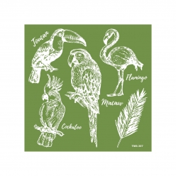 pochoir a serigraphie silkscreen oiseaux 15 cm