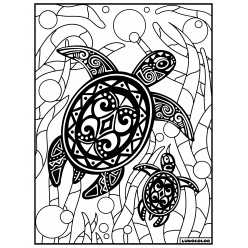 tableau velours a colorier la tortue