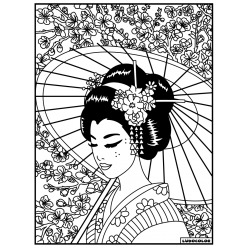 tableau velours a colorier la geisha