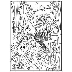 tableau velours a colorier la sirene