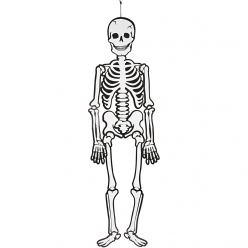 squelette fluo 120 cm