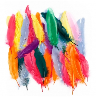 plumes indiennes 12  15 cm assortiment 350 pieces