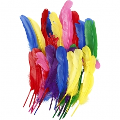 plumes d indien 20 cm assortiment 36 pieces