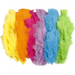 plumes 11  17 cm couleurs assorties 144 pieces