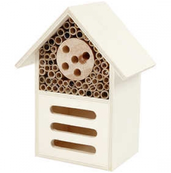 maison a insectes