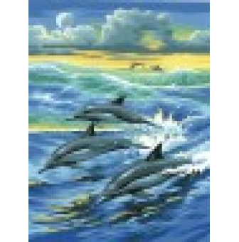 kit peinture par numeros pour enfants  dauphins