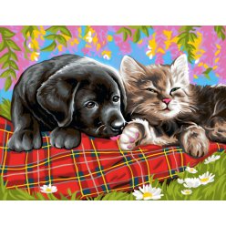 Peinture par N° - Comme chien et chat