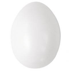 oeufs plastique 6 cm blanc lot de 10 pieces