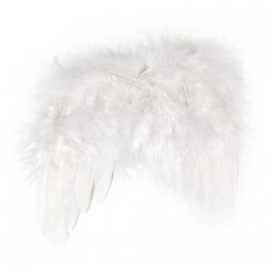 Ailes d'ange en plumes blanche 20 cm 