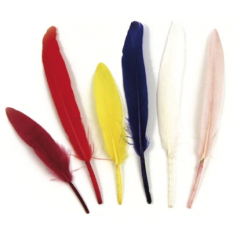 plumes indiennes 105 cm sachet de 24 pieces