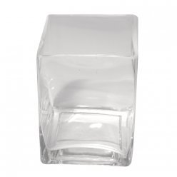 vase en verre transparente 75x8 cm