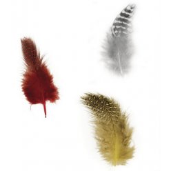 plumes decoratives 6 cm