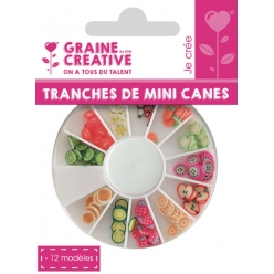 tranches de canes mini mini fruit exotique