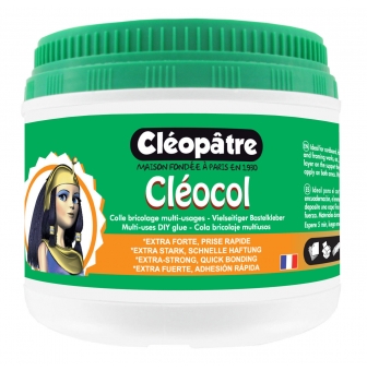 colle a wepam cleocol 500 g