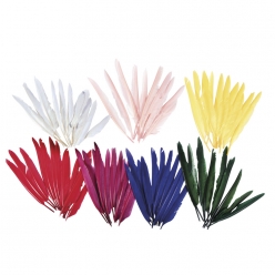 plumes d indien assortiment de couleurs 75 pieces