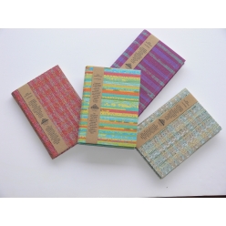 papertree eko journal  le lot de 4 livres assortis