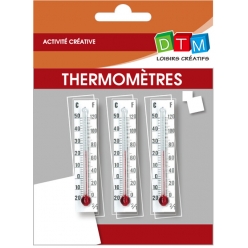 Thermomètres décoratif mini mini 3 pièces