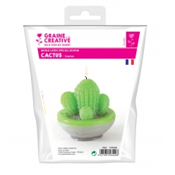 moule a bougie en latex cactus