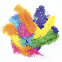 plumes multicolores assorties 25g 18 cm