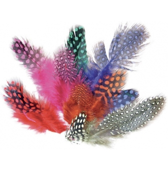 plumes pintades colorees 125 cm