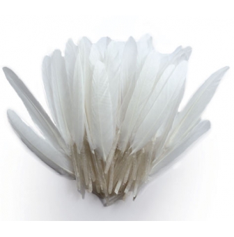 plumes d indien blanches sachet 10g 15cm